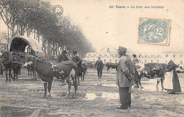 Tours     37      Foire  Ou Halles Ou Marchés:    Foire Aux Bestiaux  N° 488            (voir Scan) - Tours