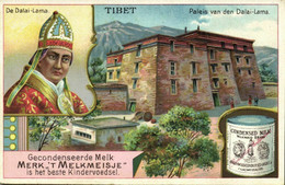 Tibet Thibet, LHASA, Potala Palace, Dalai Lama (1900s) Condensed Milk Trade Card - Tibet