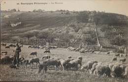 29. Bourgogne Pittoresque - Les Moutons - Veeteelt