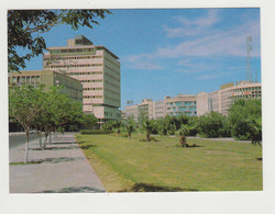 KUWAIT Commercial Center Many Buildings View Vintage Photo Postcard CPA (33902) - Koweït