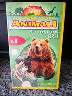 Il Magico Mondo Degli Animali - Alla Scoperta Degli Orsi - Vhs - 1998 - F - Colecciones