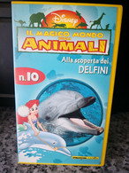 Alla Scoperta Dei Delfini - Vhs -1998- Disney -F - Verzamelingen