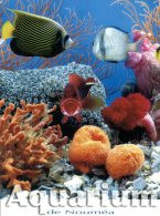(531) New Caledonia - Nouméa Aquarium - Nueva Caledonia