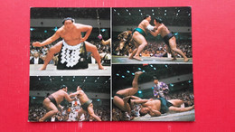 Sumo.Lucha Japonesa Llamada - Worstelen