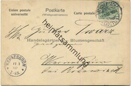 Reichenbach I. V. - Postkarte Von Paul Seiler Kunst- Und Handelsgärtner Gel. 1908 - Reichenbach I. Vogtl.