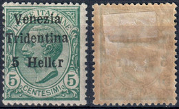 TERRE REDENTE 1918 TRENTINO ALTO ADIGE FRANC. TIPO MICHETTI SOPR. 'VENEZIA TRIDENTINA' H. 5 SU C. 5 - MLH * SASSONE 28 - Trentino