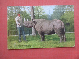 Two Horned Rhinoceros  NY Zoo.   Ref 5218 - Neushoorn