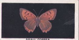 4 Small Copper - British Butterflies 1926 -  Phillips Cigarette Card - Original - Phillips / BDV