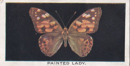 7 Painted Lady - British Butterflies 1926 -  Phillips Cigarette Card - Original - Phillips / BDV