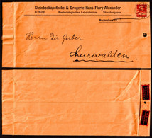 Steinbock Apotheke Drogerie PHARMACY Drugstore LABEL VINETTE CINDERELLA Suisse Switzerland CHUR 1921 Letter Cover - Pharmacy
