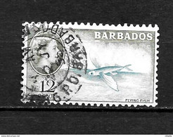 LOTE 2216  ///    COLONIAS INGLESAS - BARBADOS - Barbades (...-1966)