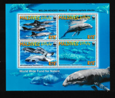 MALDIVES  2009  WWF Whales, Special SS  Perf. Rare! - Zonder Classificatie