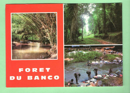 CÔTE D'IVOIRE . " FORÊT DE BANCO " - Réf. N°31814 - - Costa D'Avorio