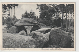 Fallingbostel, Siebensteinhäuser Hünengrab - Fallingbostel