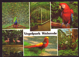 AK 03478 GERMANY - Walsrode - Vogelpark - Walsrode
