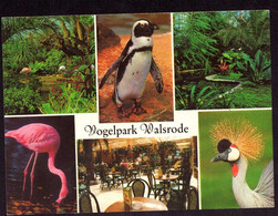 AK 03479 GERMANY - Walsrode - Vogelpark - Walsrode