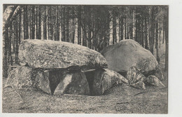 Fallingbostel, Siebensteinhäuser Hünengrab - Fallingbostel