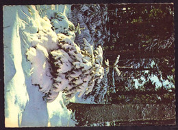 AK 03542 GERMANY - Winter Im Harz - Oberharz