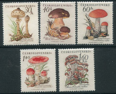 CZECHOSLOVAKIA 1958 Fungi MNH / **.  Michel  1101-05 - Ungebraucht
