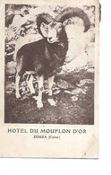 Zoza, Zouza Sur La Carte, Hôtel Du Mouflon D'Or - Other Municipalities