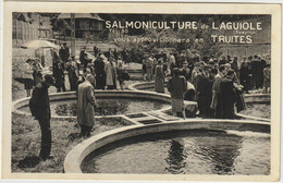 Salmoniculture De Laguiole -Truites (E.8072) - Laguiole