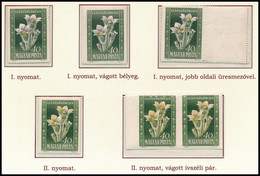 ** 1950 Virág I. 40f 6 Db Bélyeg: I. és II. Nyomásúak, Vágottak + üresmezős Bélyeg - Other & Unclassified