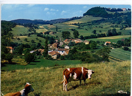 CHATEL COUSANCE VUE PITTORESQUE SUR DIGNA VACHE  1980 - Altri & Non Classificati