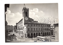 14157 " OSIMO-PALAZZO COMUNALE " ANIMATA-CORRIERE E VEICOLI ANNI '60 -VERA FOTO-CARTOLINA POSTALE SPEDITA 1965 - Ancona