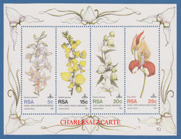SOUTH AFRICA  1981  ORCHIDS FLOWER CONVENTION  M.S. S.G. MS 502  U.M. - Hojas Bloque