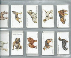 Players Cigarette Cards Dogs  Very Fine  Set Of 50 . 50/50 - Player's