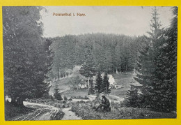 15775 - Polsterthal I. Harz - Altenau