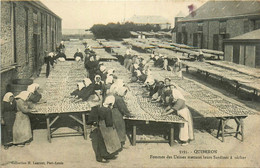 Quiberon * Femmes Des Usines Mettant Leurs Sardines à Secher * Conserverie Poisson * Coiffe - Quiberon