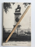 ENVIRONS DE GENAPPE »Monument Du Duo De Brunswick à QUATRE BRAS noir Et Blanc ,1904 NELS Serie 76 Nº 15. - Genappe