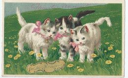 Chats - Cats - Katten - Katzen - B.Co. B. - 8457/2 - 1937 - Katten
