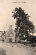 Clermont * Le Tilleul * Arbre Arbres Tree Trees - Clermont