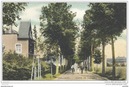 LIBRAMONT ..-- Route De RECOGNE . 1909 Vers SART , HAMIPRE . Voir Verso . - Libramont-Chevigny