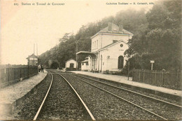 Le Cellier * Station Et Tunnnel De Clermont * Gare * Ligne Chemin De Fer - Le Cellier