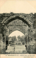 Champtoceaux * Arches Du Vieux Pont - Champtoceaux