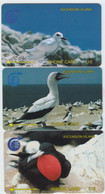 Ascension Set 3 Sea Bird' Phonecard - Superb Mint - Islas Ascensión