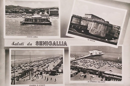 Cartolina - Saluti Da Senigallia ( Ancona ) - Vedute Diverse - 1956 - Ancona