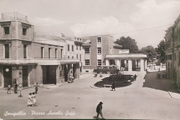 Cartolina - Senigallia - Piazza Aurelio Saffi - 1955 - Ancona