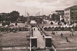 Cartolina - Senigallia - Piazza Della Libertà Vista Dalla Rotonda - 1956 - Ancona