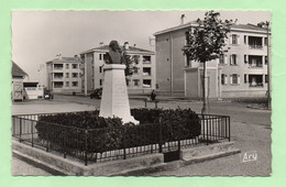 CPSM - PORT-SAINT-LOUIS-DU-RHONE - Habitations H.L.M. - Monument Dr Paolantonnacci - - Saint-Louis-du-Rhône
