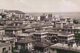 Cartolina - Ancona (Marche) - Panorama - 1955 - Ancona