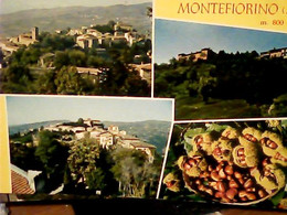 Delcampe - MONTEFIORINO  VEDUTE MODENA  VB1985 IH10856 - Carpi