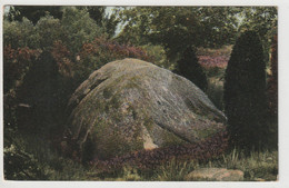 Lüneburger Heide, Riesenstein Beim Totengrund, Wilsede - Lüneburger Heide