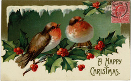 Roodborstje Red Robin Rotkehlchen Rougegorge  Bird Vogel Happy Christmas  CPA Carte Fantaisie Noel Navidad - Chasse