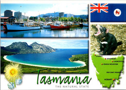 (5 A 32) Australia - TAS - Map - Devil Etc - Andere & Zonder Classificatie