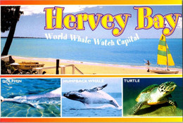 (5 A 32) Australia - QLD - Hervey Bay (doulbe Size Postcard - Folded) - Sunshine Coast
