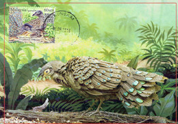 8A :  Carte Maximum Card Malaysia- Peacock Pheasant, Beautiful Feather - Pfauen